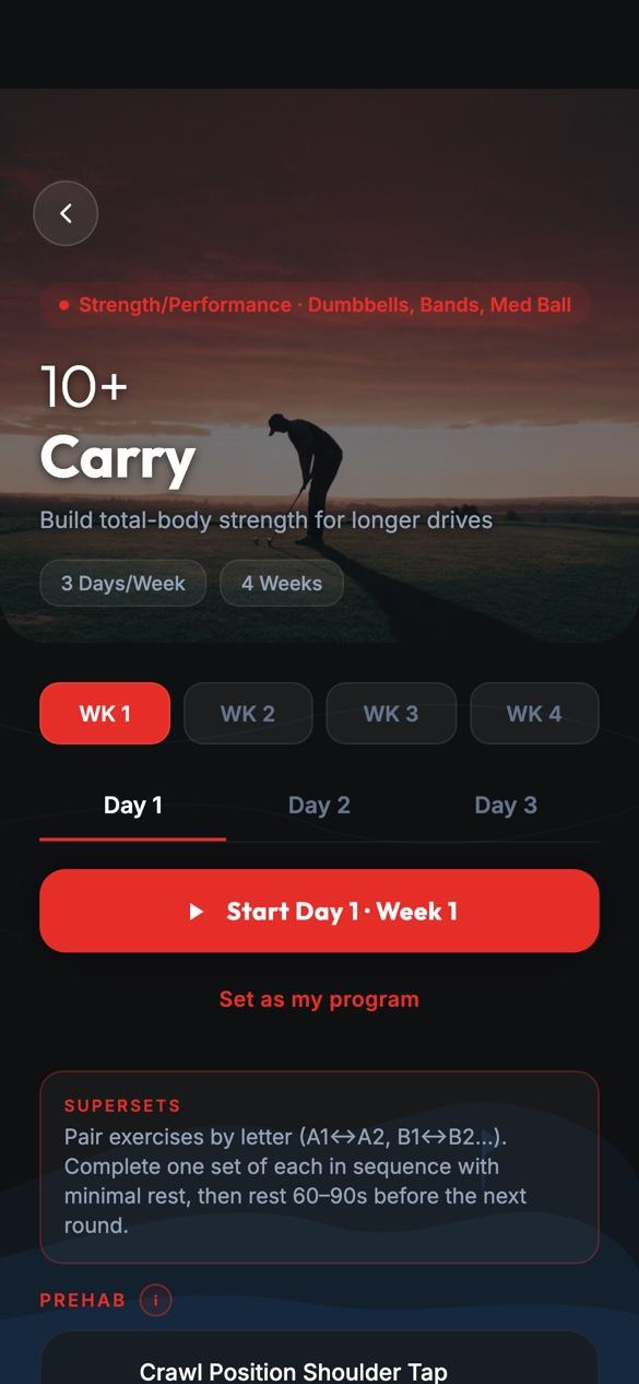 10+ Carry program overview with weeks and days